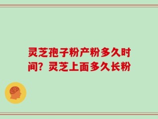 灵芝孢子粉产粉多久时间？灵芝上面多久长粉