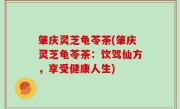 肇庆灵芝龟苓茶(肇庆灵芝龟苓茶：饮驾仙方，享受健康人生)