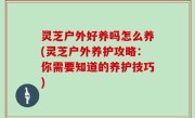 灵芝户外好养吗怎么养(灵芝户外养护攻略：你需要知道的养护技巧)