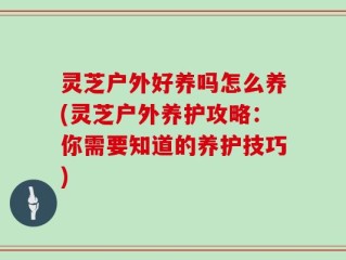 灵芝户外好养吗怎么养(灵芝户外养护攻略：你需要知道的养护技巧)