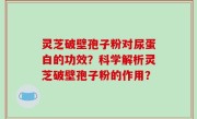 灵芝破壁孢子粉对尿蛋白的功效？科学解析灵芝破壁孢子粉的作用？