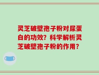 灵芝破壁孢子粉对尿蛋白的功效？科学解析灵芝破壁孢子粉的作用？