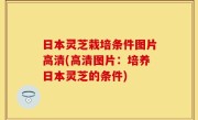日本灵芝栽培条件图片高清(高清图片：培养日本灵芝的条件)