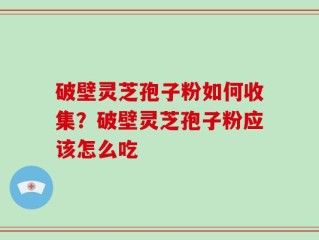 破壁灵芝孢子粉如何收集？破壁灵芝孢子粉应该怎么吃
