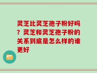 灵芝比灵芝孢子粉好吗？灵芝和灵芝孢子粉的关系到底是怎么样的谁更好