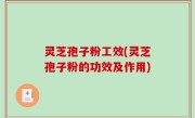 灵芝孢子粉工效(灵芝孢子粉的功效及作用)