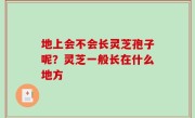 地上会不会长灵芝孢子呢？灵芝一般长在什么地方