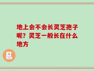地上会不会长灵芝孢子呢？灵芝一般长在什么地方