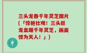 三头龙吞千年灵芝图片(「惊艳壮观！三头巨龙盘踞千年灵芝，画面惊为天人！」)