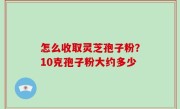 怎么收取灵芝孢子粉？10克孢子粉大约多少