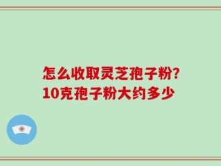 怎么收取灵芝孢子粉？10克孢子粉大约多少