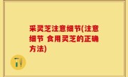 采灵芝注意细节(注意细节 食用灵芝的正确方法)
