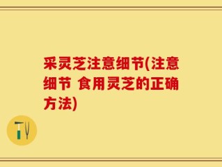 采灵芝注意细节(注意细节 食用灵芝的正确方法)