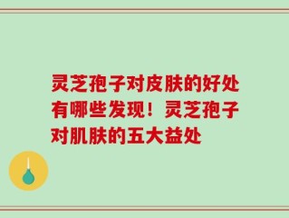 灵芝孢子对皮肤的好处有哪些发现！灵芝孢子对肌肤的五大益处