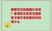 破壁灵芝胶囊图片高清？香港懿生堂灵芝破壁孢子精华素胶囊的功效是什么