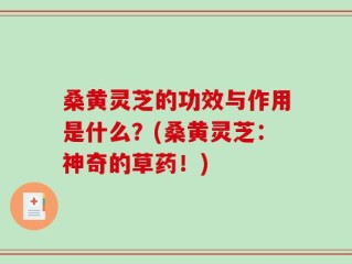 桑黄灵芝的功效与作用是什么？(桑黄灵芝：神奇的草药！)