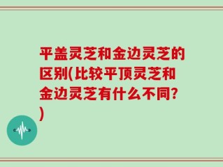 平盖灵芝和金边灵芝的区别(比较平顶灵芝和金边灵芝有什么不同？)