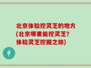 北京体验挖灵芝的地方(北京哪里能挖灵芝？体验灵芝挖掘之旅)