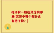 孢子粉一般在灵芝的哪里(灵芝中哪个部分含有孢子粉？)