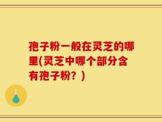 孢子粉一般在灵芝的哪里(灵芝中哪个部分含有孢子粉？)
