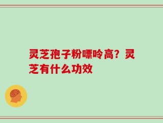 灵芝孢子粉嘌呤高？灵芝有什么功效