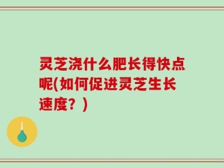 灵芝浇什么肥长得快点呢(如何促进灵芝生长速度？)
