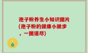 孢子粉养生小知识图片(孢子粉的健康小撇步，一图道尽)