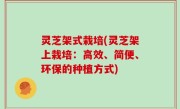 灵芝架式栽培(灵芝架上栽培：高效、简便、环保的种植方式)