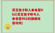 灵芝孢子粉人参皂苷Rh2(灵芝孢子粉与人参皂苷Rh2的健康双倍功效)