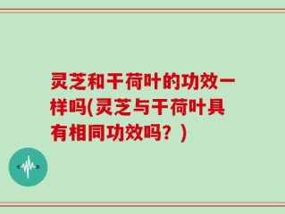 灵芝和干荷叶的功效一样吗(灵芝与干荷叶具有相同功效吗？)