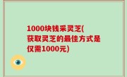 1000块钱采灵芝(获取灵芝的最佳方式是仅需1000元)