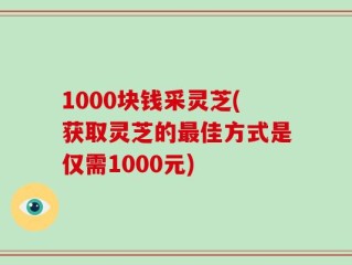 1000块钱采灵芝(获取灵芝的最佳方式是仅需1000元)