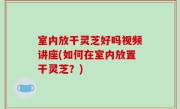 室内放干灵芝好吗视频讲座(如何在室内放置干灵芝？)