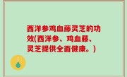 西洋参鸡血藤灵芝的功效(西洋参、鸡血藤、灵芝提供全面健康。)