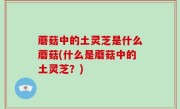 蘑菇中的土灵芝是什么蘑菇(什么是蘑菇中的土灵芝？)