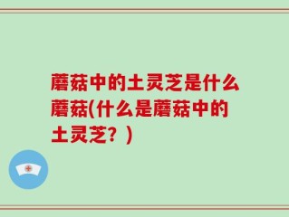 蘑菇中的土灵芝是什么蘑菇(什么是蘑菇中的土灵芝？)
