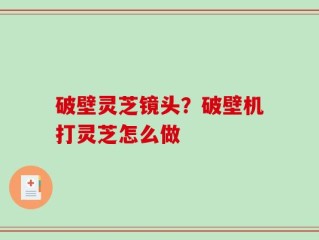 破壁灵芝镜头？破壁机打灵芝怎么做