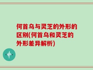 何首乌与灵芝的外形的区别(何首乌和灵芝的外形差异解析)