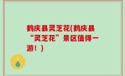 鹤庆县灵芝花(鹤庆县“灵芝花”景区值得一游！)