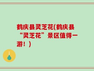 鹤庆县灵芝花(鹤庆县“灵芝花”景区值得一游！)