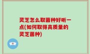 灵芝怎么取菌种好听一点(如何取得高质量的灵芝菌种)