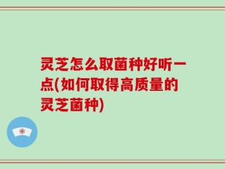 灵芝怎么取菌种好听一点(如何取得高质量的灵芝菌种)