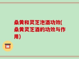 桑黄和灵芝泡酒功效(桑黄灵芝酒的功效与作用)