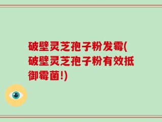 破壁灵芝孢子粉发霉(破壁灵芝孢子粉有效抵御霉菌!)
