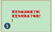 灵芝为啥没味道了呢(灵芝为何失去了味道？)
