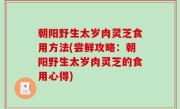 朝阳野生太岁肉灵芝食用方法(尝鲜攻略：朝阳野生太岁肉灵芝的食用心得)
