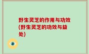 野生灵芝的作用与功效(野生灵芝的功效与益处)
