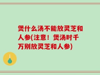 煲什么汤不能放灵芝和人参(注意！煲汤时千万别放灵芝和人参)