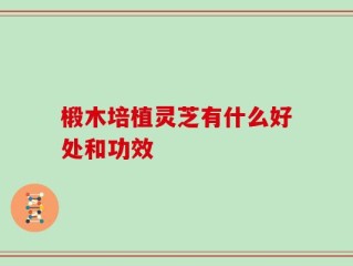 椴木培植灵芝有什么好处和功效