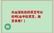 大山深处捡的灵芝可以吃吗(山中捡灵芝，能否食用？)